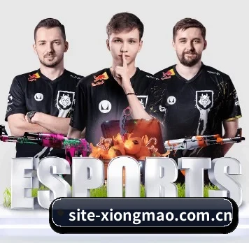 从此观赛更有深度